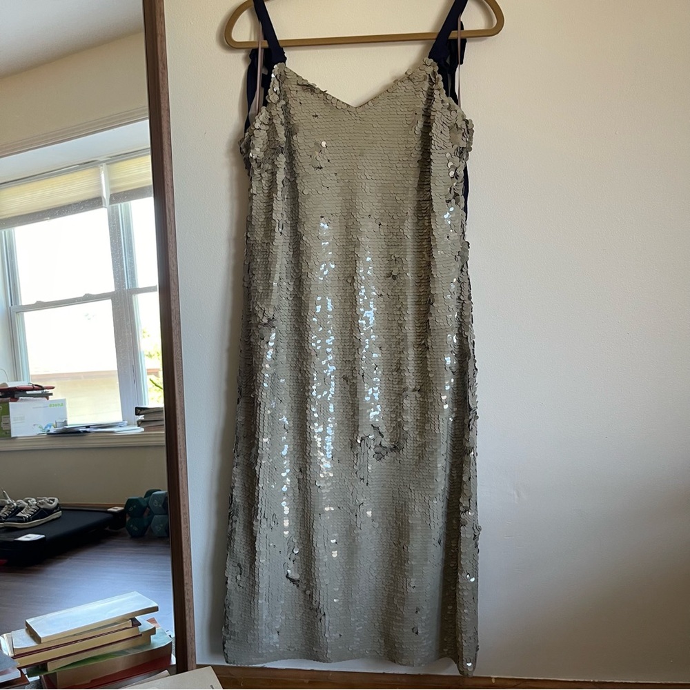 J. Crew Elegant Sequin Dress in Beige